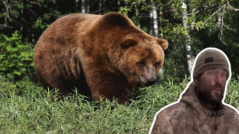 Clay Hayes Grizzly Bear Close Call on Alone Season 8