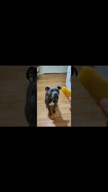 Pineabbles & Wamtermelons