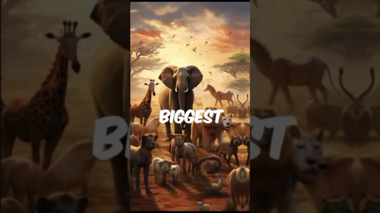 Top 5 animals with the biggest pp sizes