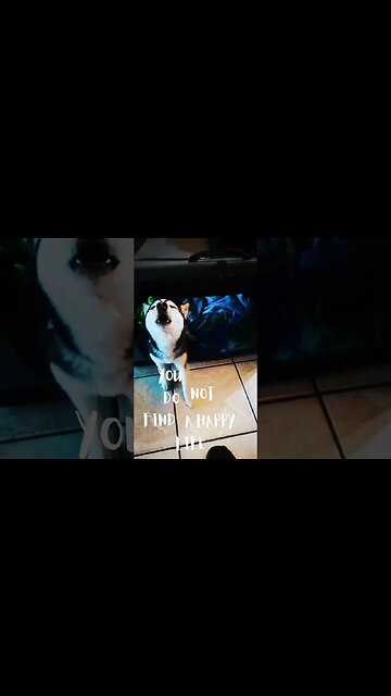 Happy life. #thoth432