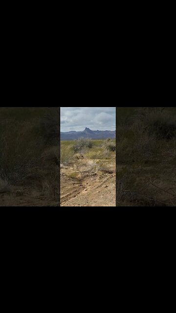 Heading up Rt 66 to Oatman AZ