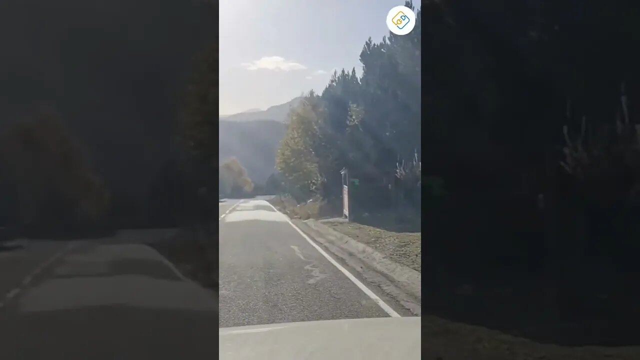 Road to Sober Success 💯 #SHORTS #alcoholfree