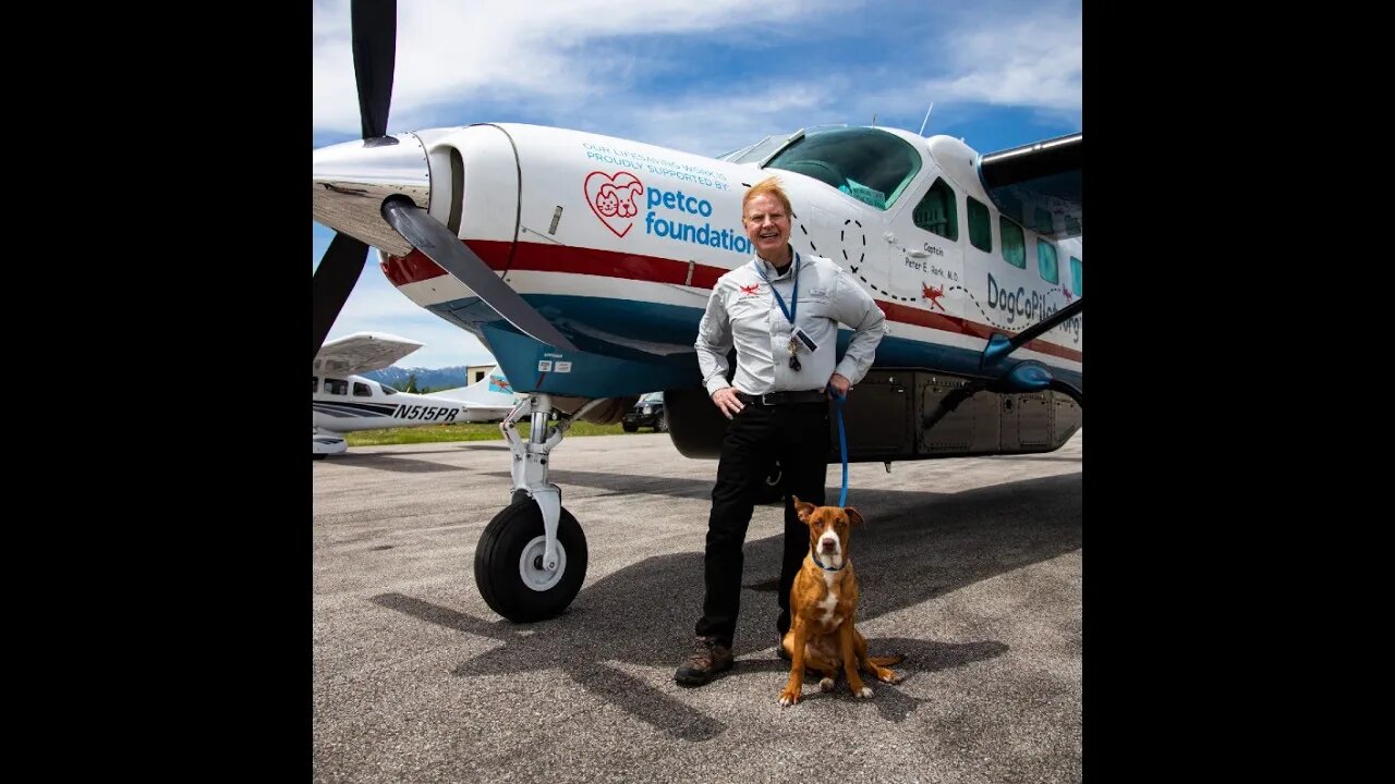Dr. Peter Rork: Dog is my Co-Pilot Transports Dogs from Shelters to Adoption Centers