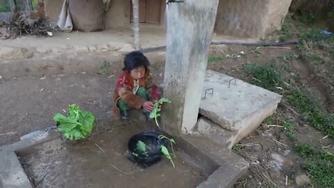 Working together by happy family || Traditional life || Nepali Village-6