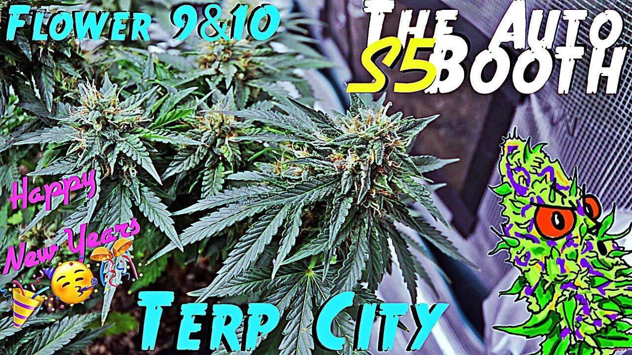 The Auto Booth S5 Ep. 6 | Weeks 9 & 10 | Terp City | Happy New Years 🎉🥳🎊