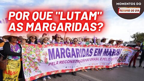 Por que "lutam" as margaridas? | Momentos do Resumo do Dia