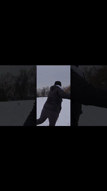 The Mocking Bird is Money!