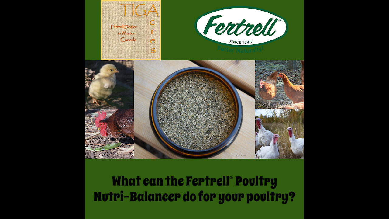 What can the Fertrell® Poultry Nutri-Balancer do for your poultry?