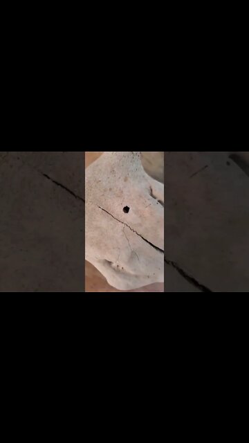 Halloween is coming! Are you ready? #halloween #skull #hole #fun #scary