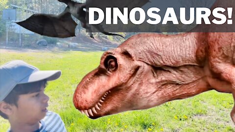 Dinosaurs on the loose | adventure with dinosaurs | green screen effect