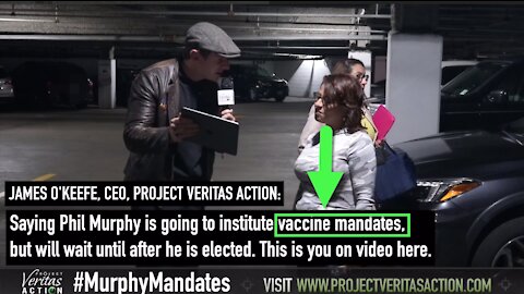 Project Veritas busted some (more) asses