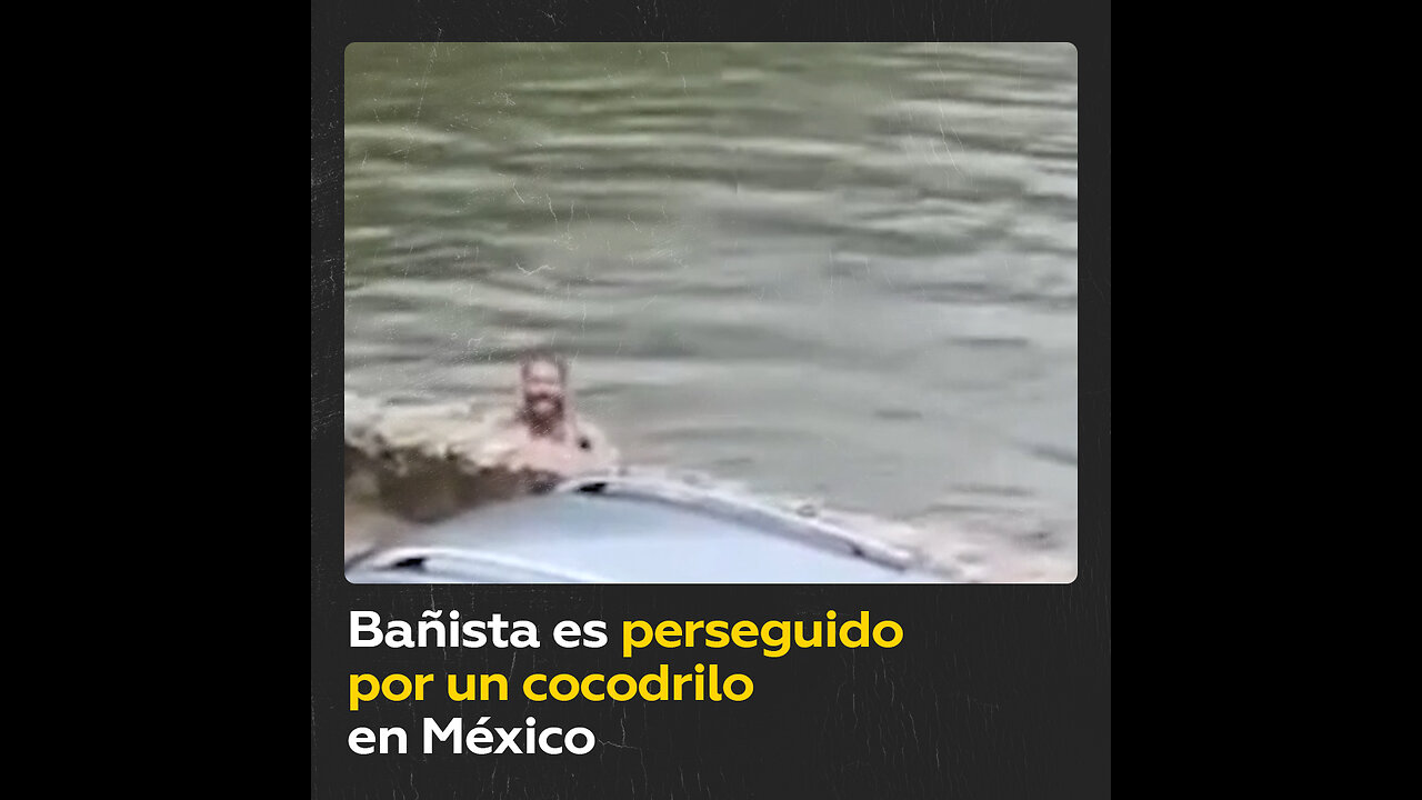 Lo persigue un cocodrilo en una laguna en México