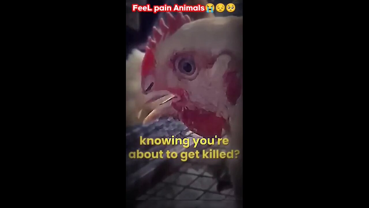 All animals pain 😞😭 please feel pain animals 😭