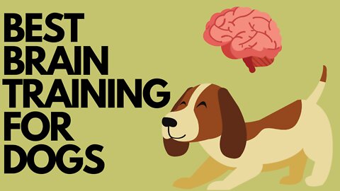 Best Dog Training Tips #shorts