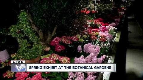 Buffalo and Erie County Botanical Gardens transformed into spring gratitude gardens