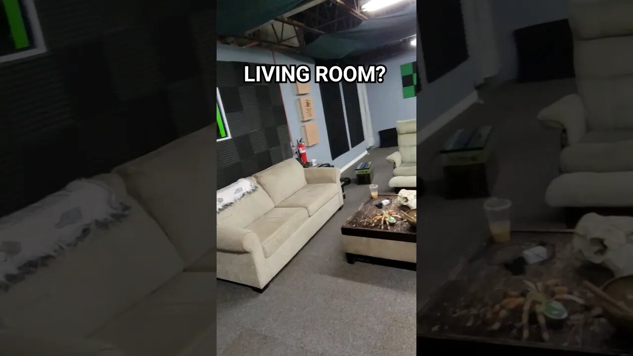 Living Room FULL of TARANTULAS & SNAKES!
