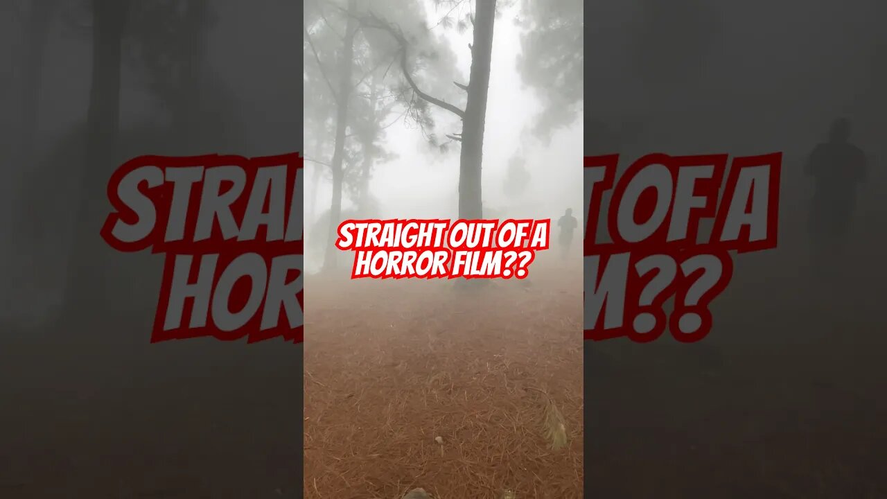 When the forest comes to get you! #explore #scary #shorts #short