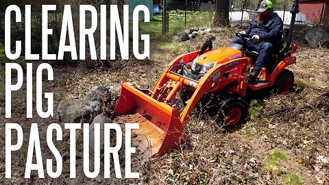 Pigs Are Coming, Ready or Not! Prepping Forest Pasture with the Kubota BX