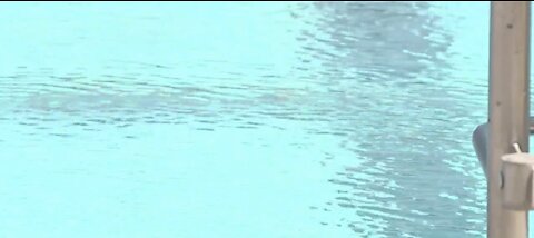 City of Henderson launches 'Safe Pools Rule' campaign ahead of summer