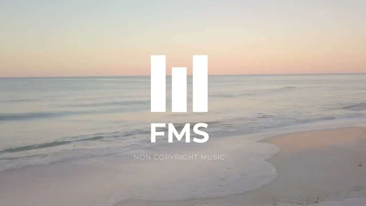 FMS - Free Non Copyright EDM Music #053