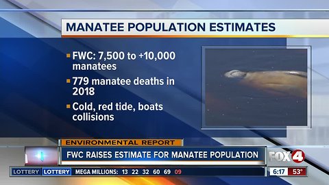 FWC: Manatees more abundant than previously thought