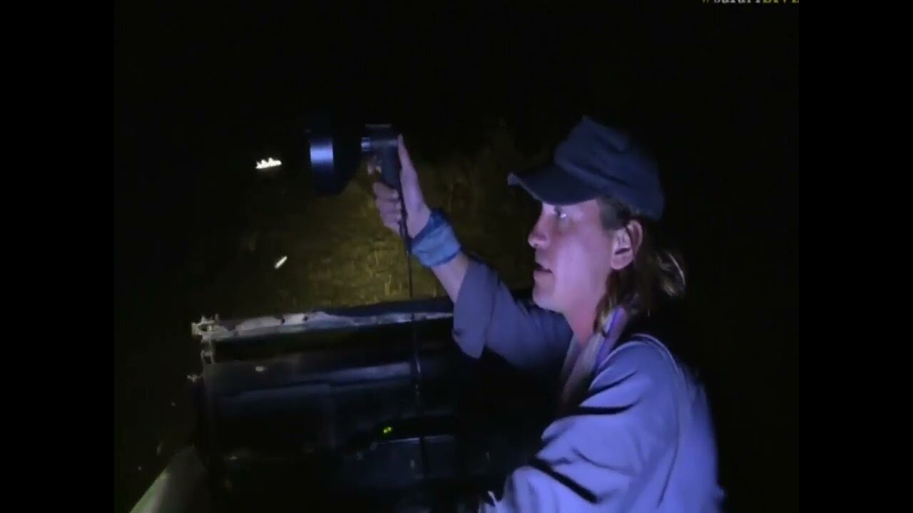 Lion Dig out to hunt warthog, fantastic at Night time