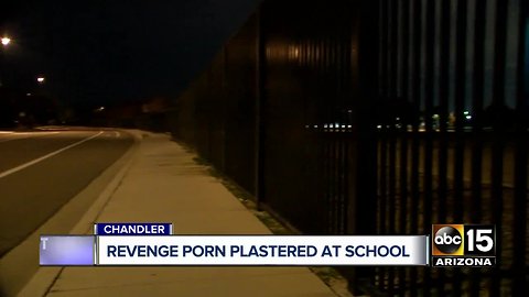 Woman arrested for posting revenge porn pictures along Chandler elementary school fence