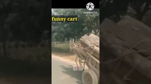 funny cart #shorts #viral #video