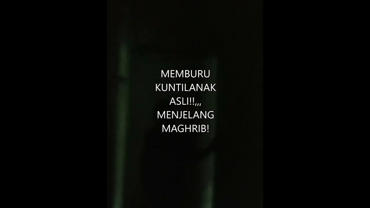 shorts#asli suara kuntilanak| merinding guys!!!!