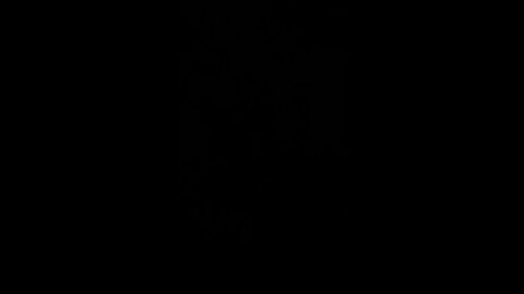 How to pronounce a Stew Peters