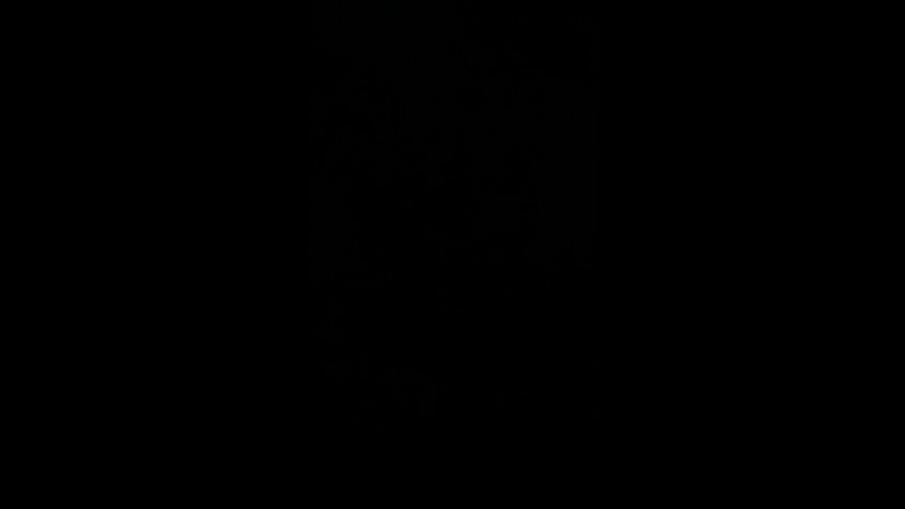 How to pronounce a Stew Peters