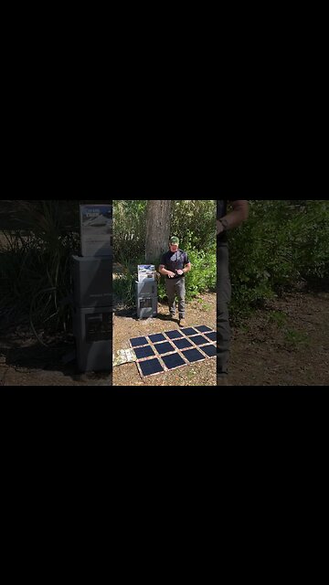 How One Simple Move Can Help the Environment!