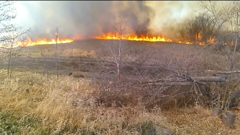 Honda CRF250F Trail Riding #6 ft. Grass Fire