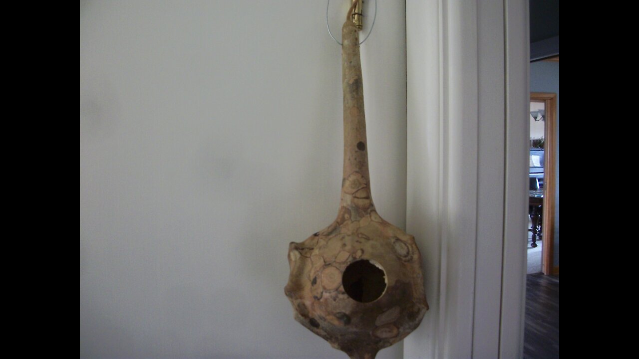 Gourds Bird Houses (part 1)