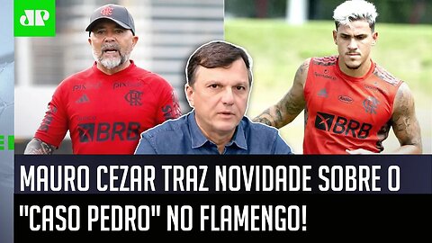 NOVOS BASTIDORES! "O que EU SOUBE HOJE é que o Pedro..." Mauro Cezar ABRE O JOGO sobre o Flamengo!