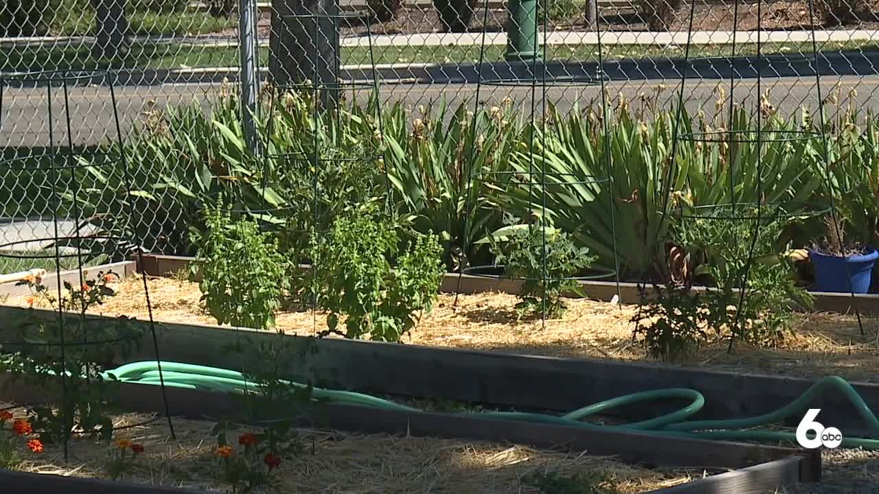 Boise woman brings horticultural therapy to City Light Home For Women and Children