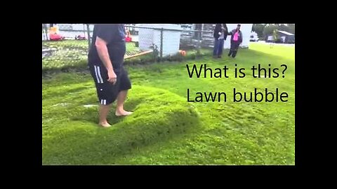 Lawn Bubble