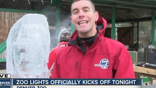 7News at 11AM -- Zoo Lights