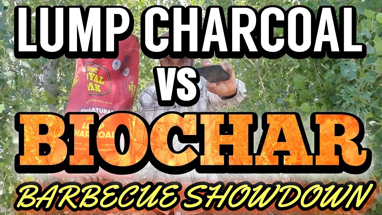 Unveiling the Winner: Store Bought CHARCOAL vs Homemade BIOCHAR Showdown!