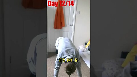 How Many Push Ups Can We Do? | Taking on the 1 Sub = 1 Push Up Challenge. Day 12