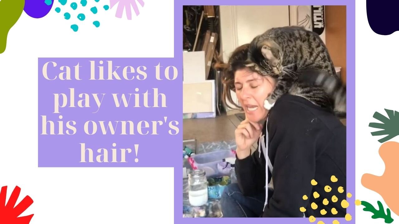 cat likes to play with his owner's hair!