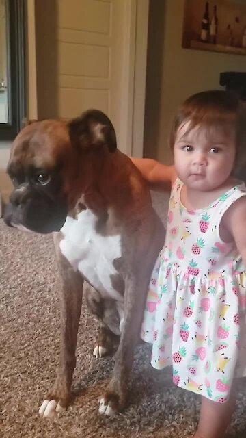 Baby girl gives her boxer a loving hug