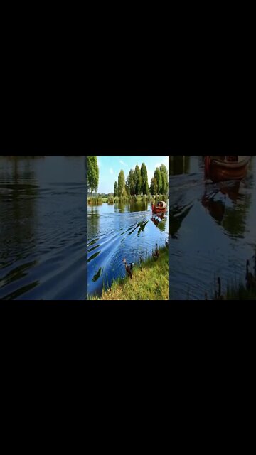 music - Ben William Rosati #music #shorts #short #shortvideo #shortsvideo