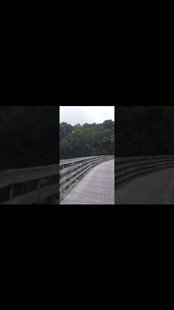 Now playing on YouTube #shorts