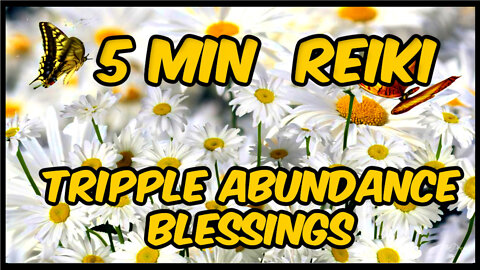 Karuna Ki Reiki l Tripple Abundance Blessing l 5 Minte Session l Healing Hands Series