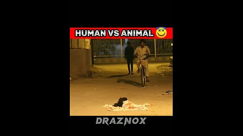 POV animal vs human Hanuman hanumanji