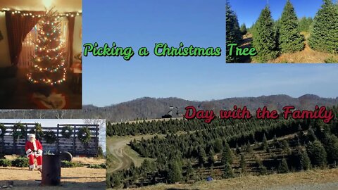 Tree Farm in the Mountains | Christmas Plates | Family Outing | Mom Life