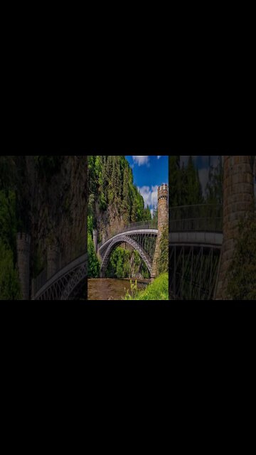 music - True Love Silent Partner #shorts #short #shortvideo #shortsvideo #music