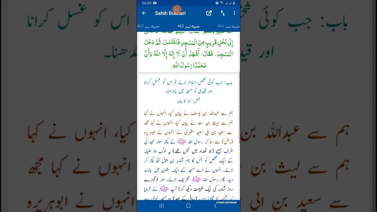 Hadees SHARIF Sahi bukhari SHARIF hadees number #462 in arbic urdu and English languages