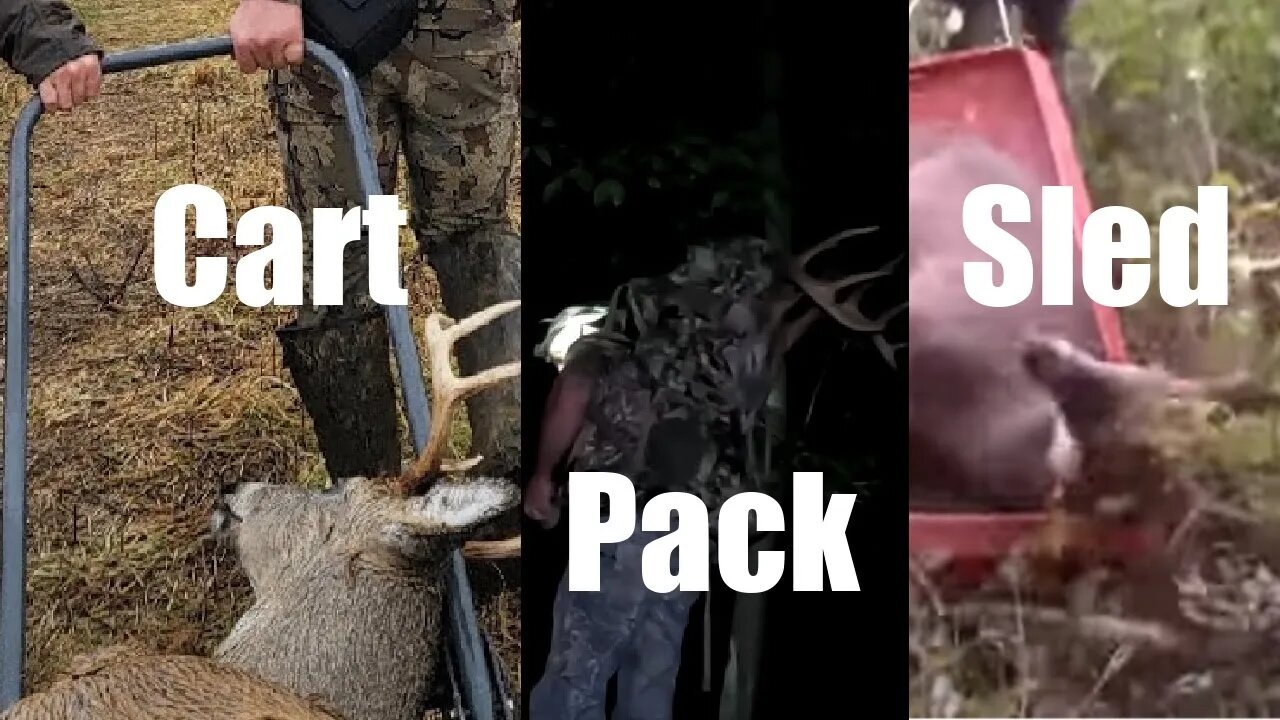 Best way to get a deer out of the woods?